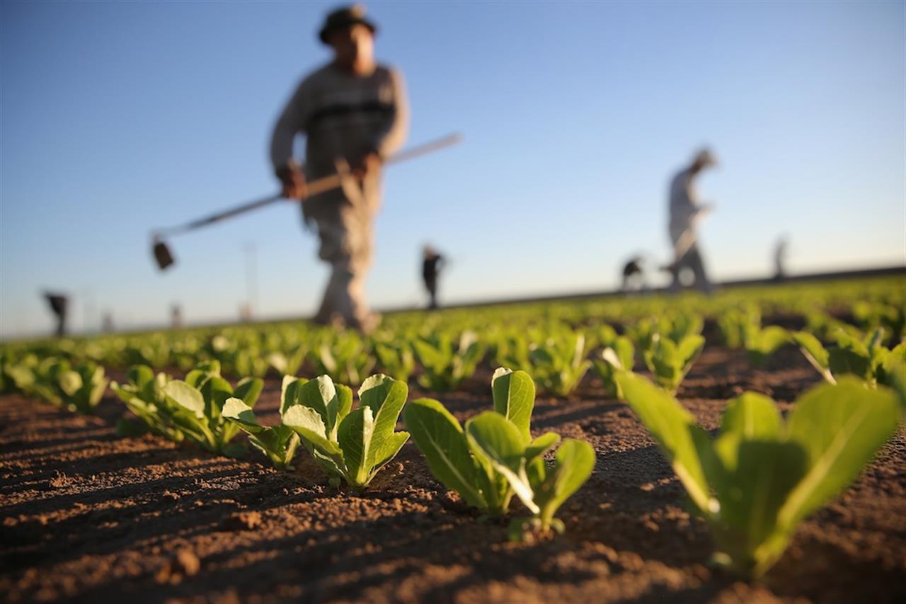 Agricoltur